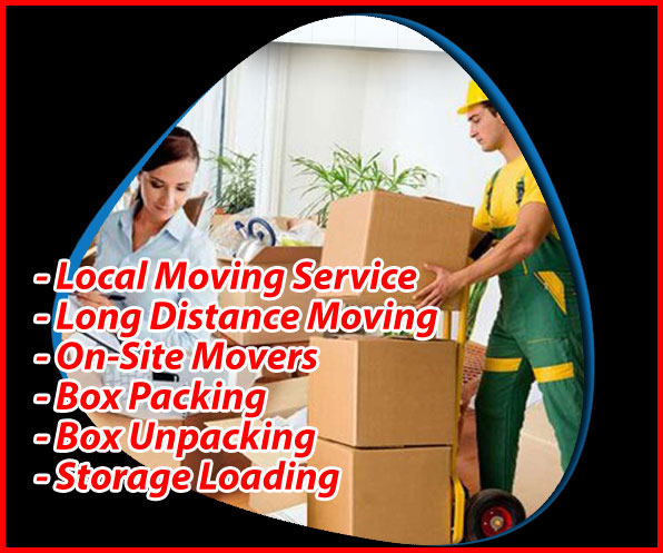 Packers And Movers Noida Sector 69